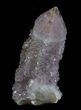 Cactus Quartz (Amethyst) Crystal - South Africa #64228-1